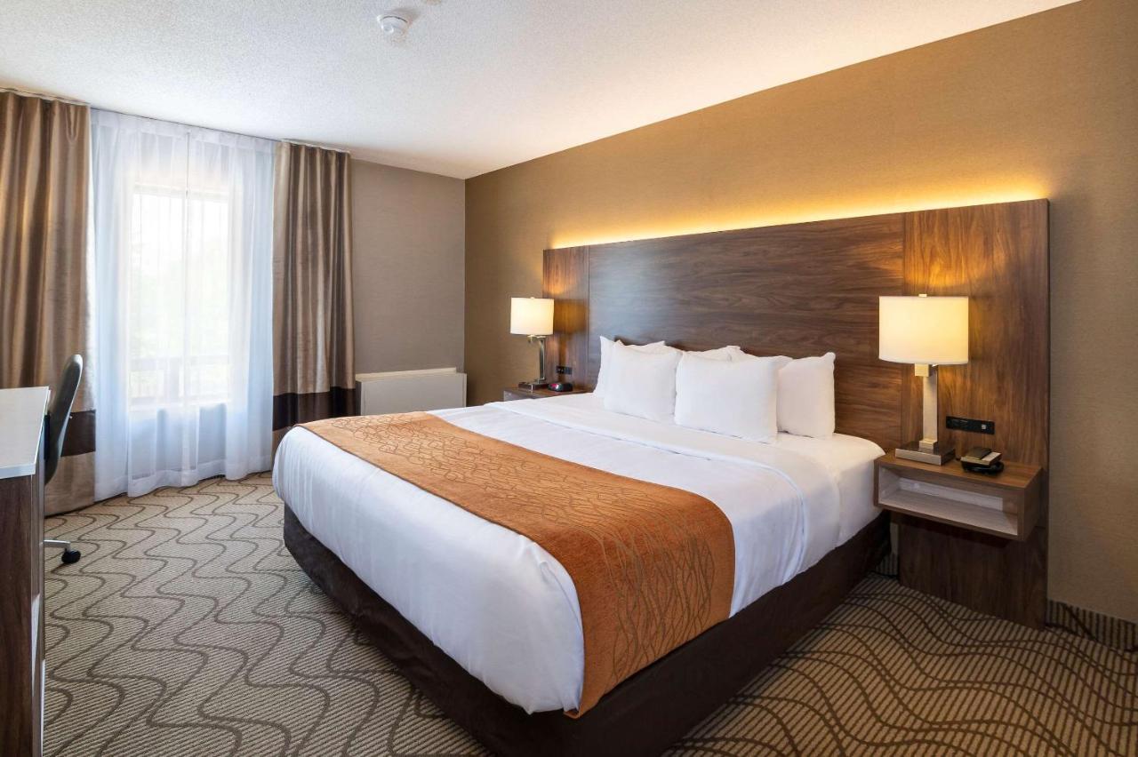 Comfort Inn Lakeshore North Bay Extérieur photo